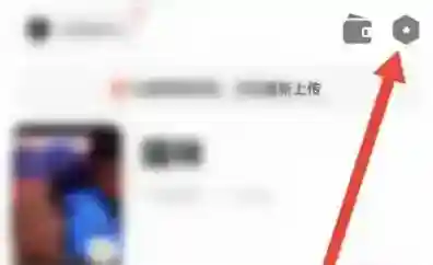 探探怎么隐藏上麦状态