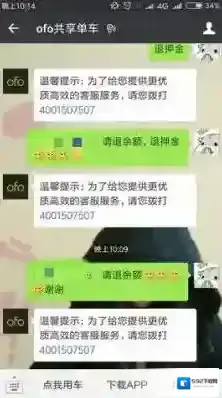 ofo共享单车余额