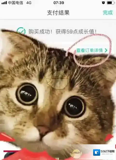 美团选择