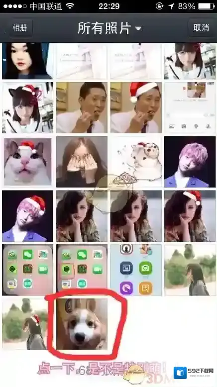 LINE Camera小编