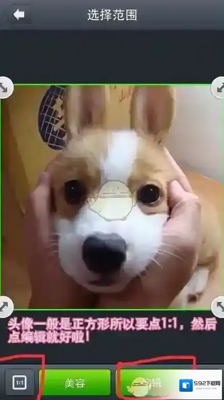 LINE Camera就会