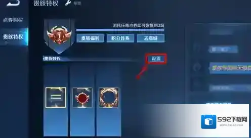 王者荣耀贵族