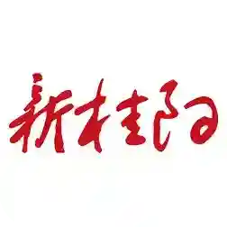 新桂阳最新版