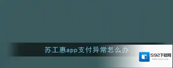 《苏工惠》支付异常解决办法
