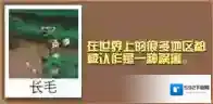 疯狂动物园游击猩猩怎么抓 游击猩猩属性图鉴