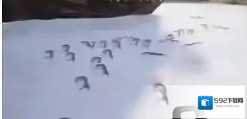 绝地求生：刺激战场雪地地图