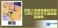 疯狂动物园图鉴