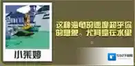 疯狂动物园属性