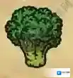 黑暗料理王西兰花