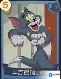 猫和老鼠知识