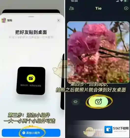 贴贴照片