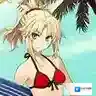 FGO英灵