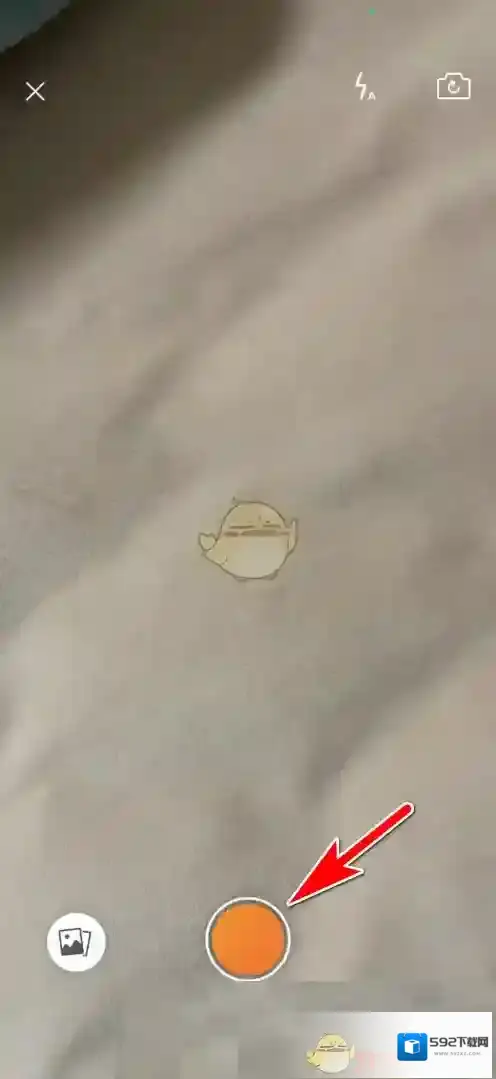 点淘主页面