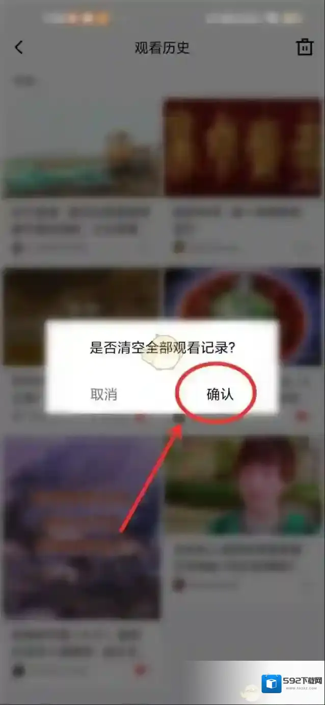 青桃选项