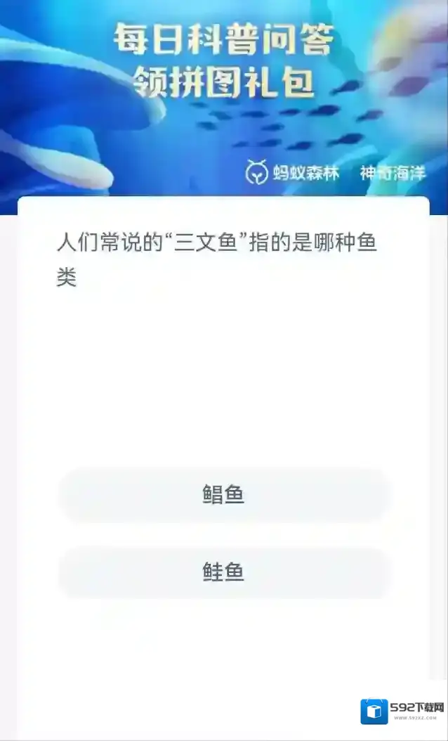支付宝鲑鱼