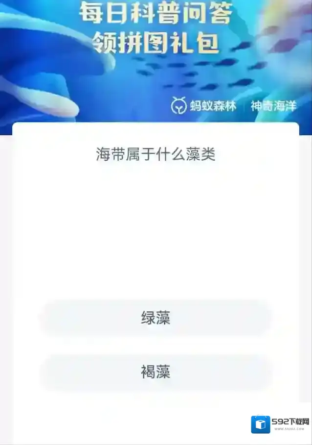 支付宝光合作用