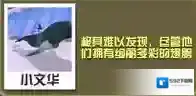 疯狂动物园仙女企鹅怎么抓 仙女企鹅属性图鉴