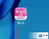 唯品仓申请